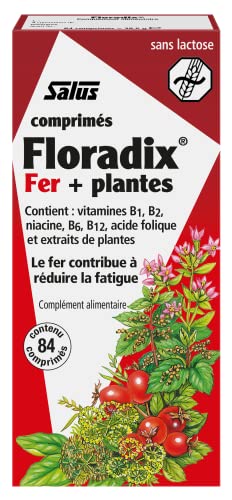 floradix iron supplement tablets pack of 84 tablets 16