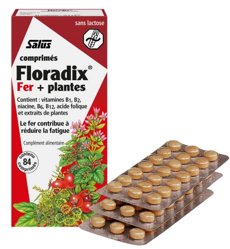floradix iron supplement tablets pack of 84 tablets 1