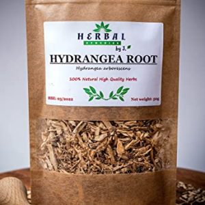 Hydrangea Tea Root Dried Herb UTI Kidney Stones Bladder Urinary - Hydrangea Arborescens - Herbal Remedies by J. - Hortensja korzen
