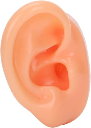 silicone right ear model natural size human ear model simulation artificial