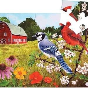 Relish - Dementia Jigsaw Puzzles for Adults - 13 Piece Summer Birds Puzzle - Activities & Gifts for Elderly People with Alzheimer's