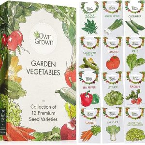 Gardening Vegetable Seed Set: 12 Varieties of Garden Vegetables as Practical Vegetable Seed Mix for the Garden and Balcony – Eco friendly Gift Box...