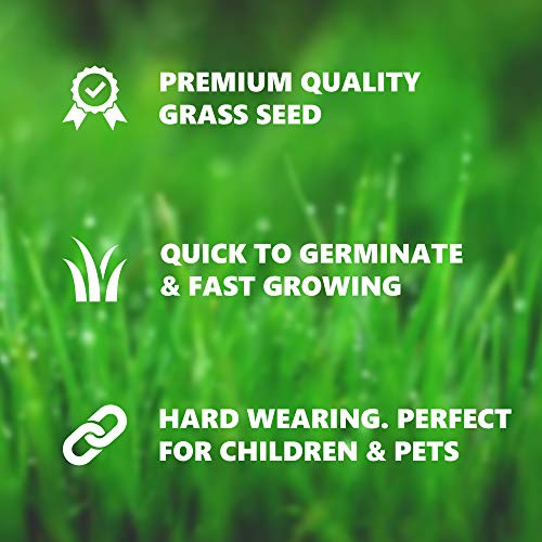 Grass Seed 1kg Covers 60 Sqm Fast Growing Grass Seed For Quick Lawn