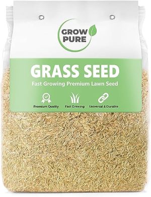 grass seed 1kg covers 60 sqm fast growing grass seed for quick lawn patch