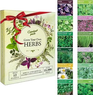 herb seeds for planting indoors outdoors 12 varieties 15000 seeds