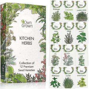 herb seeds set herbs seeds for planting 12 varieties of herb plants seed