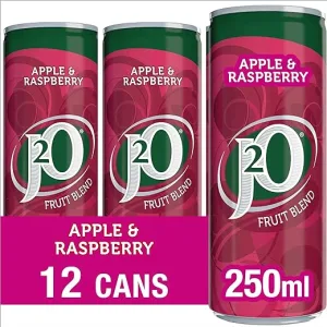 j2o fruit blend juice drink perfect mixer low calorie apple and raspberry 12 jpg