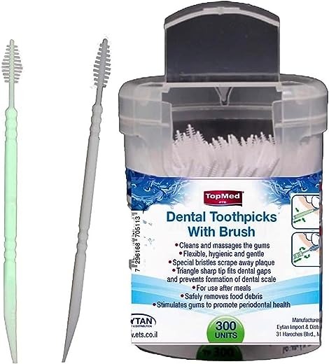 Oral Care Dental Brush Teeth Pick Plastic Teeth Floss Toothpick 300 Count (Color May Vary)