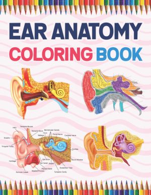 ear anatomy coloring book incredibly detailed self test human ear anatomy