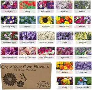 pronto seed flower bumper pack for planting now grow your own kit