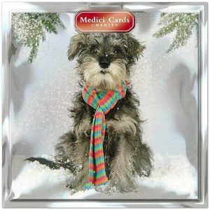 charity christmas cards chmt0008 dog in scarf pack of 6 cards sold in